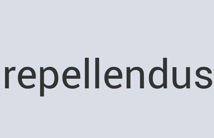 Awesome Rubber Director’s Chair